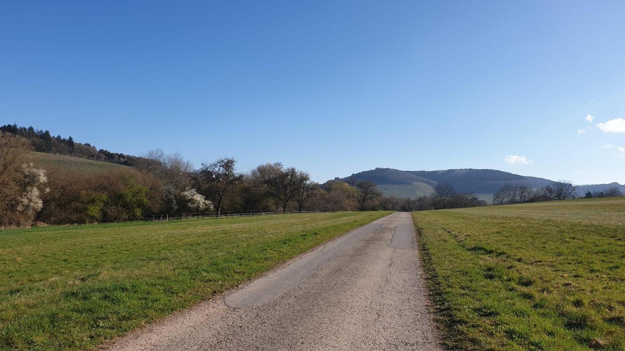 Zimmers Taelchenhof Oberemmel Dış mekan fotoğraf